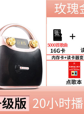 伊菲尔（Eifer）户外无线蓝牙音箱广场舞音响便携式小型手提移动