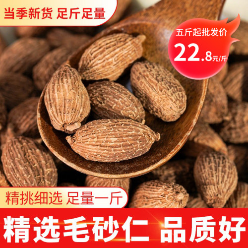 新货毛砂仁500g砂仁阳春砂