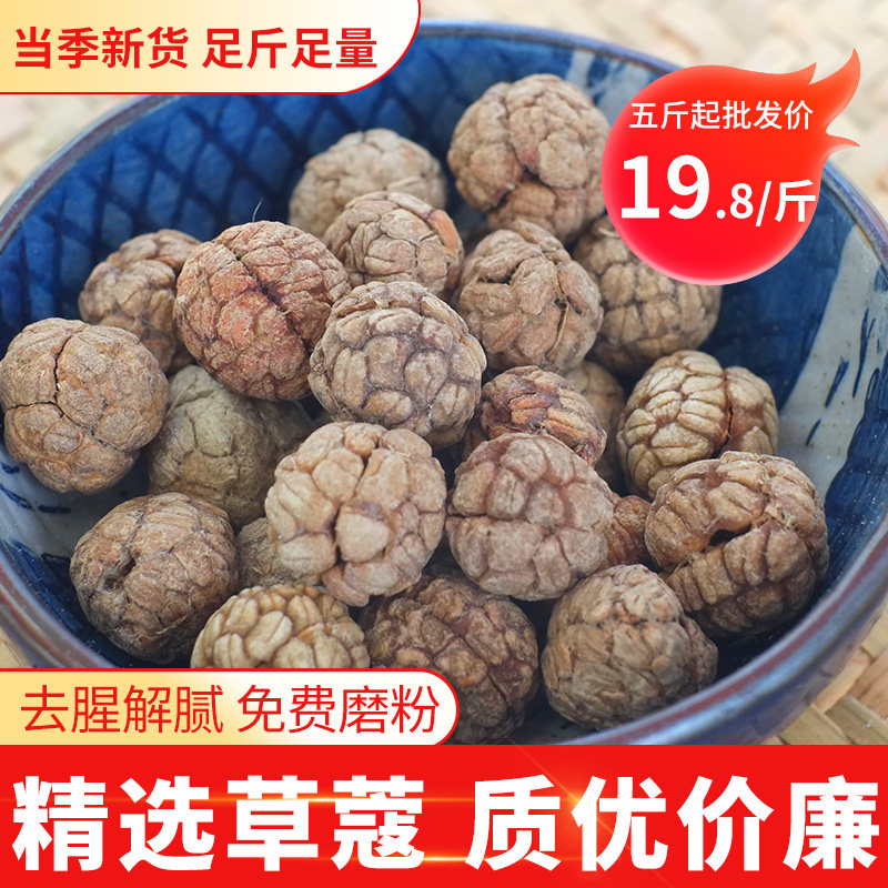广西草寇500g草寇仁草豆蔻老蔻草扣卤料煲汤卤水火锅香料调料大全,粮油调味/速食/干货/烘焙,香辛料/干调类,淘宝优惠券,粉丝福利购,淘宝优惠卷