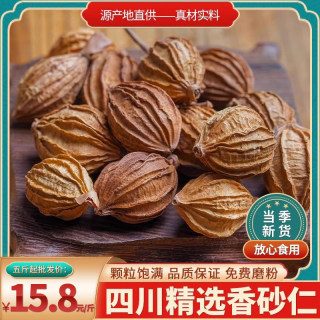 香砂仁沙仁发250g非500g香料调料大全炖肉卤味调料包川菜调料