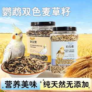 鹦鹉粮白玉黑金双色麦草籽鸟粮食鸟零食虎皮玄凤牡丹训练奖励鸟粮