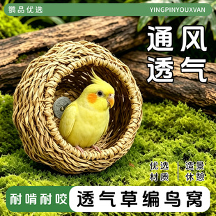 鹦鹉草编鸟窝四季通用玄凤虎皮小太阳睡觉窝鸟巢玩具解闷自嗨