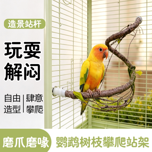 宠大条鹦鹉攀爬磨爪解闷站杆站架