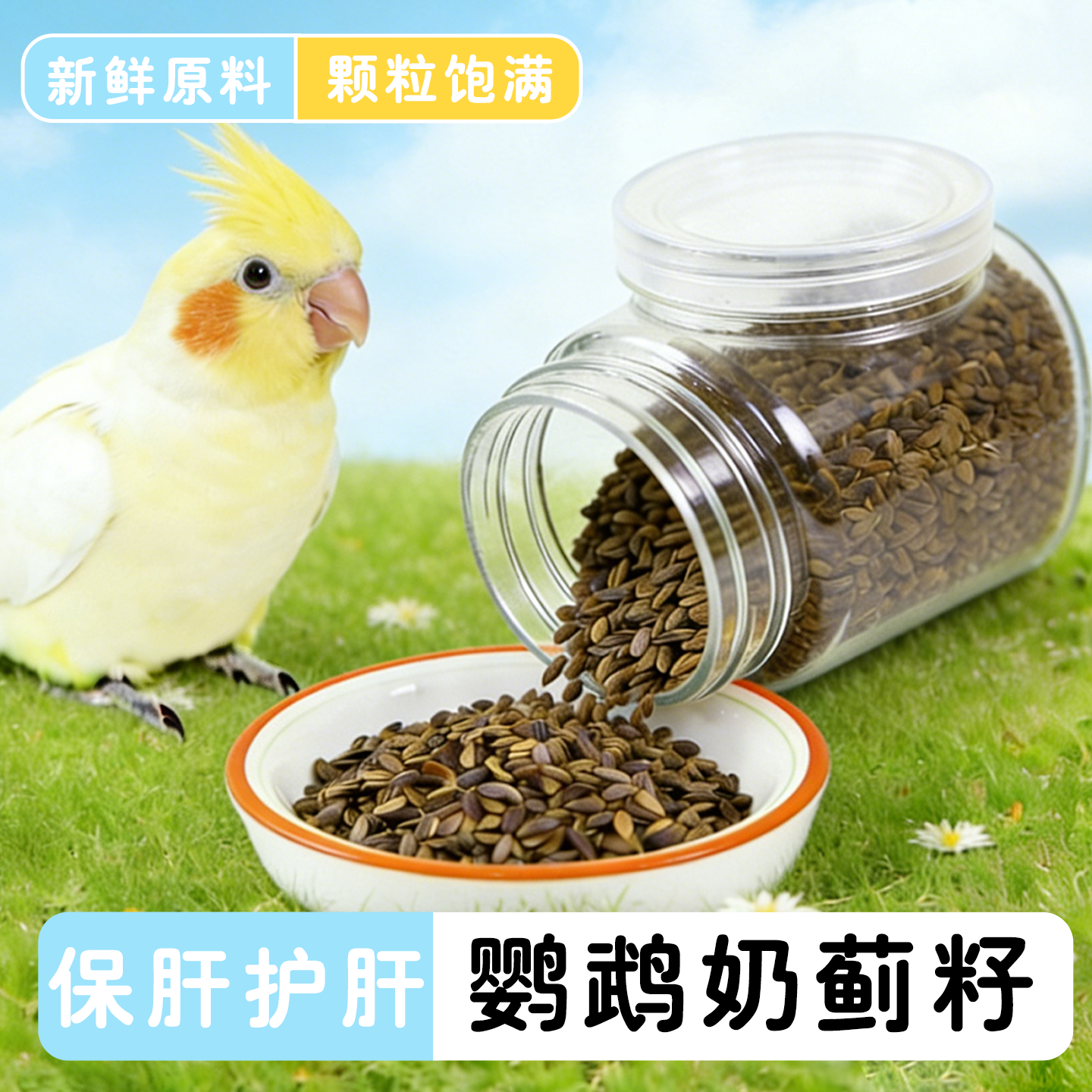 鹦鹉粮带壳水飞蓟玄凤虎皮牡丹小太阳训练奖励鸟零食奶蓟籽,宠物/宠物食品及用品,鸟零食,淘宝优惠券,粉丝福利购,淘宝优惠卷