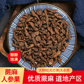 蕨麻优质无烂果人参果中草药大颗粒传统滋补无杂质道地药材颗粒装