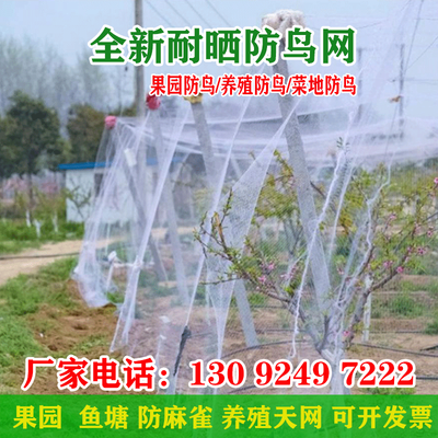 果园尼龙天网果树葡萄大棚防鸟网