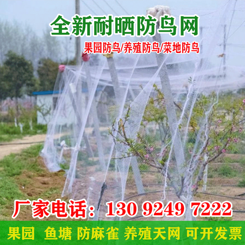 果园尼龙天网果树葡萄大棚防鸟网