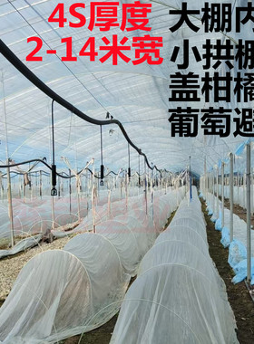 大棚内膜小拱棚膜二膜4S无滴膜盖柑橘葡萄避雨棚保温防雨浅蓝透明