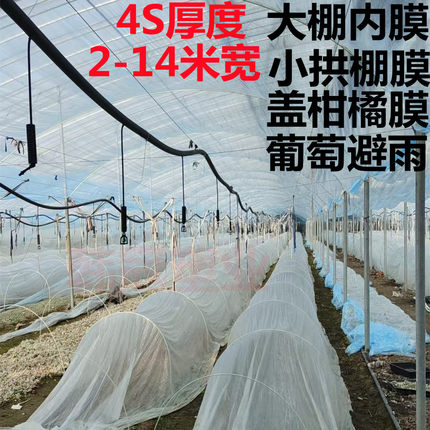 大棚内膜小拱棚膜二膜4S无滴膜盖柑橘葡萄避雨棚保温防雨浅蓝透明