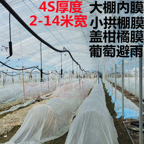 大棚内膜小拱棚膜二膜4S无滴膜盖柑橘葡萄避雨棚保温防雨浅蓝透明