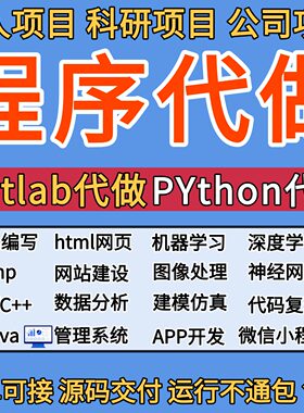 【全程序代做】专业技术包运行