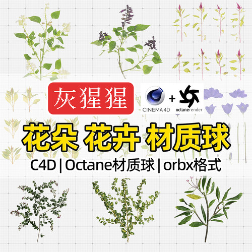 灰猩猩OC材质球C4D菊花朵向日葵贴图材质包Octane渲染器orbx预设