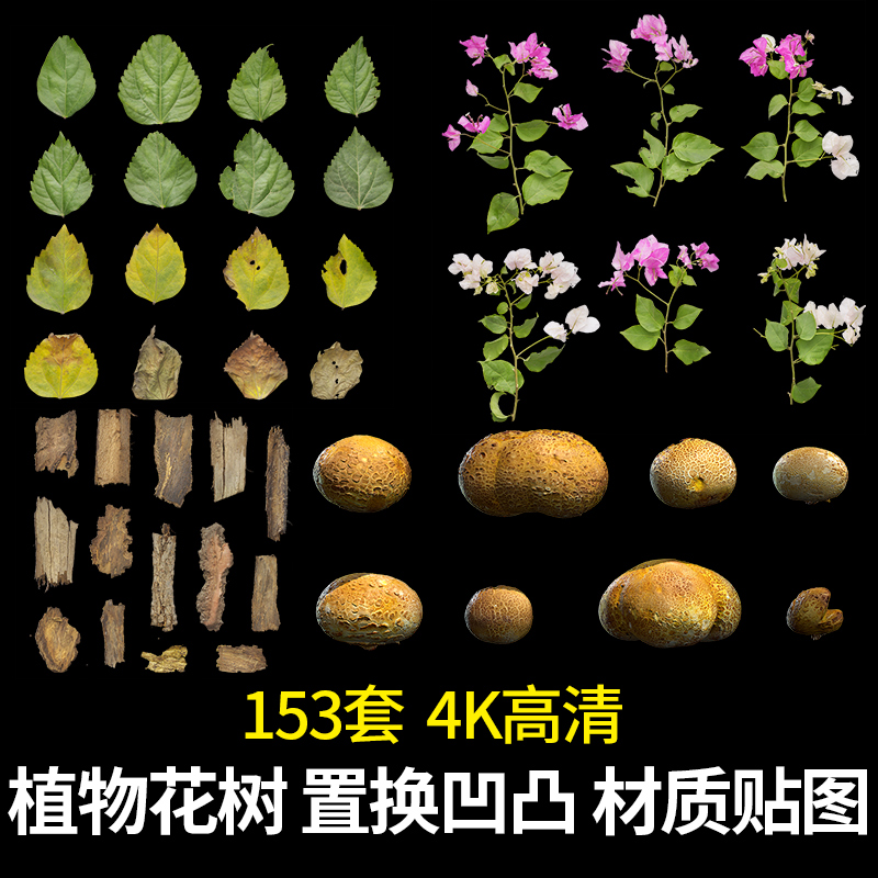 高清植物树叶枝皮纹理花朵蘑菇 置换法线凹凸 C4D渲染材质3D贴图