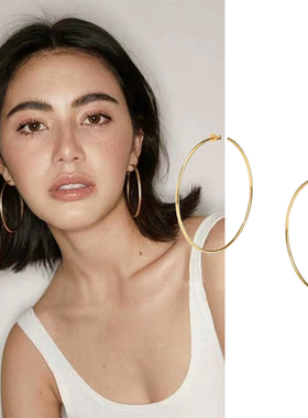刘雯同款耳环轻奢高级风百搭鼻祖万年经典镀金高质感925银针耳圈