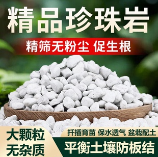 养花专用珍珠岩大颗粒无杂质不烂根蛭石泥炭土营养土园艺通用包邮