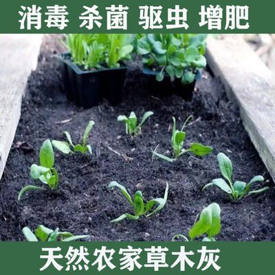 纯天然草木灰含钾肥磷肥氮肥天然肥料疏松土壤增产防虫消毒有机肥