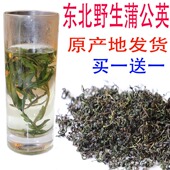 买一送一 蒲公英茶整颗食用长白山婆婆丁谷谷丁非蒲公英根