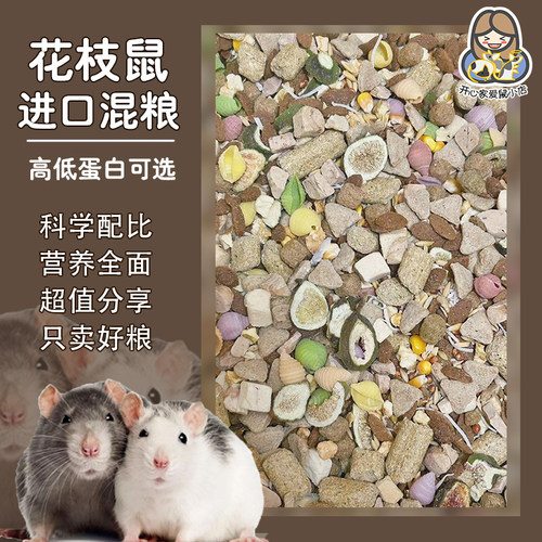 花枝鼠自配粮花枝鼠专用进口混粮