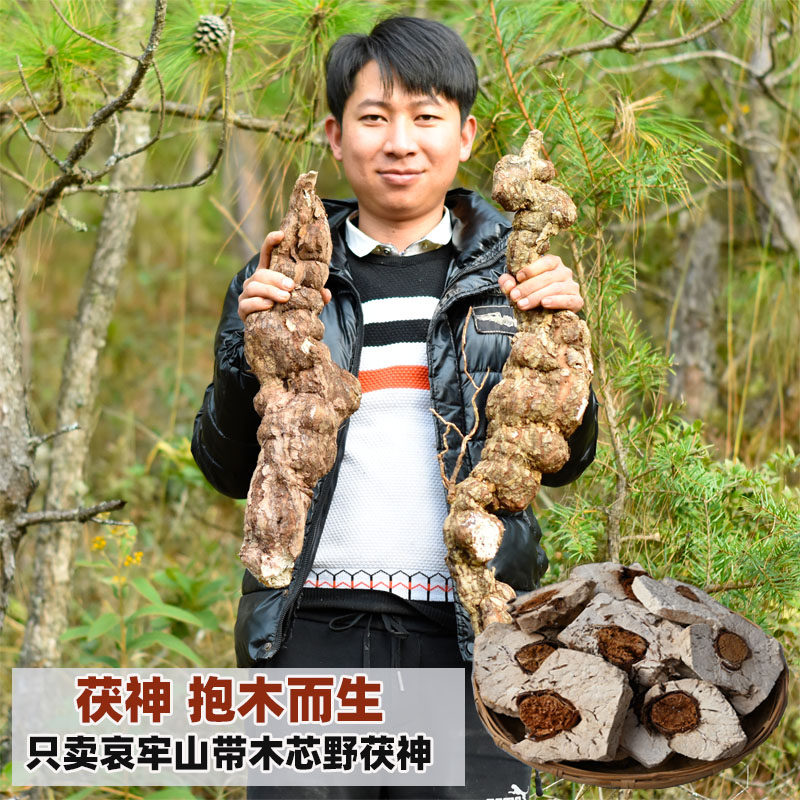 云南野松根伏苓神片 松树根穿过茯苓形成松茯苓神 泡水炖汤食用