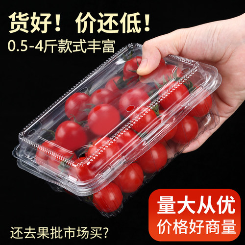 一次性水果打包盒草莓盒小番茄盒