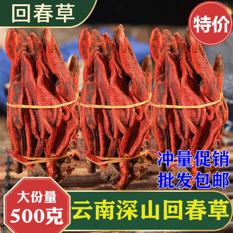 回春草野生500g云南新货顶天柱不老草草苁蓉男性滋补泡酒料深山采_虎窝淘