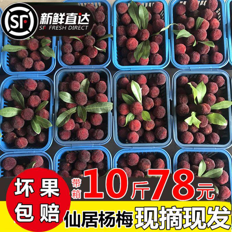 杨梅新鲜正宗浙江仙居东魁荸荠杨梅现摘现发当季妇水果10斤包邮在类目 水产肉类/新鲜蔬果/熟食, 新鲜水果, 其它中 - 来自Buy2taobao.com提供专业的淘宝代购服务