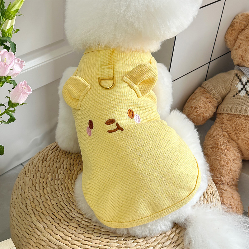猫咪衣服春夏秋防掉毛狗狗德文