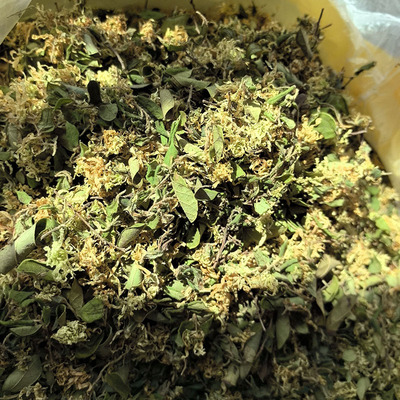 野生白檵木花硬牙花寒草福建宁德周宁特产100g   2两2025新晒
