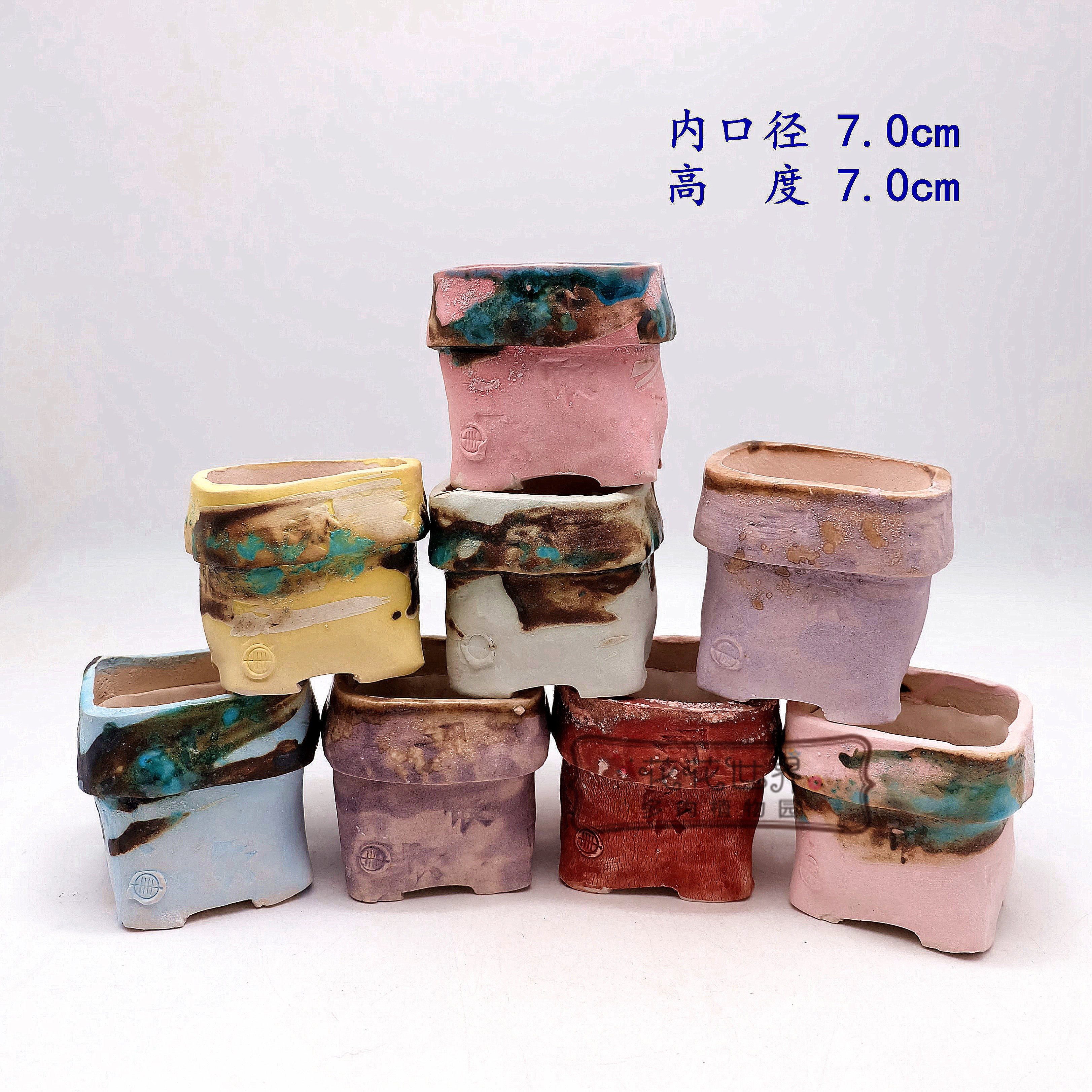 一卌多肉花盆 基础款大头高桩 群生单头多肉老桩景德镇粗陶