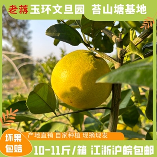 包甜玉环葡萄柚爆汁青皮黄金柚子爆浆皮薄纯甜嫩多汁绿皮青柚大果