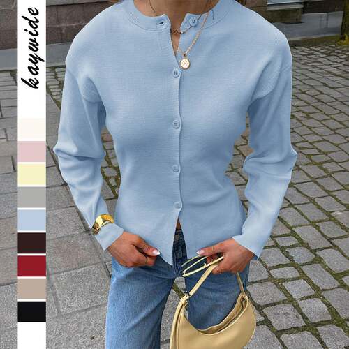 Women's Casual Basic Long Sleeve Sweater Plain Color Knit