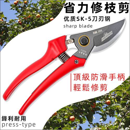 臻禾SK5修枝剪刀省力弧形精修剪防滑手柄农用果树枝花圃盆景园艺