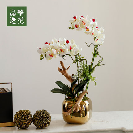 晶华新品蝴蝶兰花艺家居摆件仿真花艺桌面花艺高档蝴蝶兰花艺橱窗