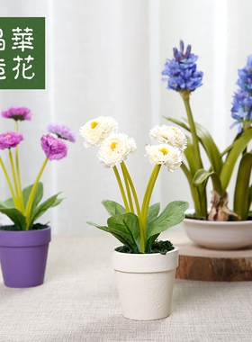 盆栽晶华风信子小盆栽装饰品假花