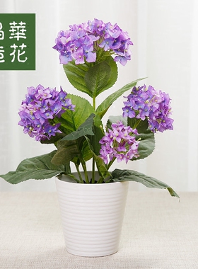 花艺装饰品晶华仿真花盆栽