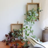 新款 网纹叶墙面遮丑美化绿植壁挂装 饰相框仿真假藤蔓餐厅酒店挂饰