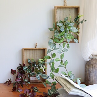 新款网纹叶墙面遮丑美化绿植壁挂装饰相框仿真假藤蔓餐厅酒店挂饰