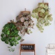 仿真秋海棠叶壁挂假花芋叶绿植藤蔓造景墙面美化吊顶装 饰遮挡遮丑