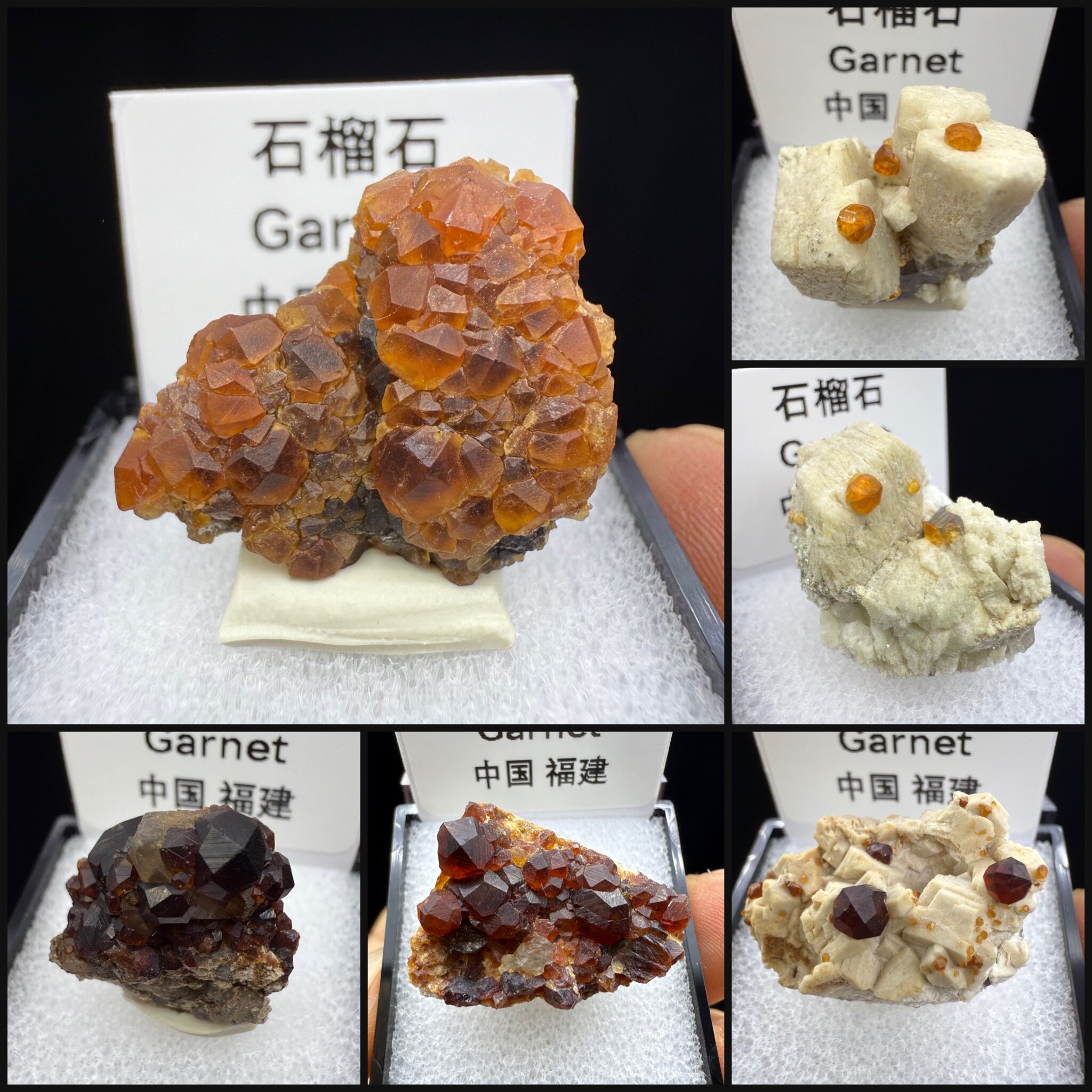 福建石榴石芬达色酒红色天然矿物晶体矿石标本盒子矿原石摆件科普