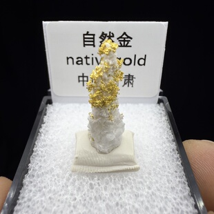 自然金金矿石天然矿物晶体矿石标本收藏观赏原石摆件地质科普1