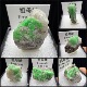 小祖母绿云南天然矿物晶体矿石标本收藏观赏原石摆件地质科普奇石