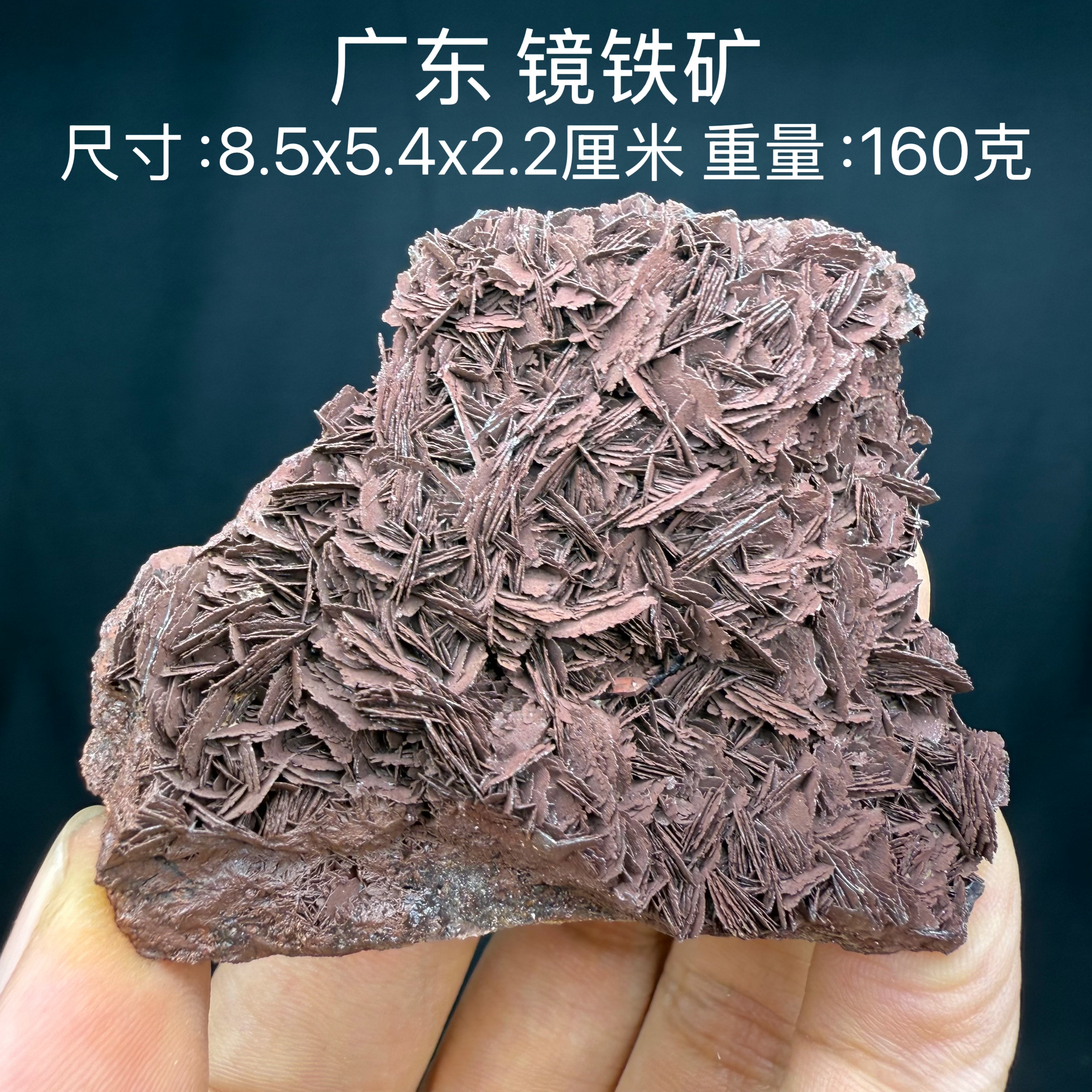 广东镜铁矿天然矿物晶体矿石标本收藏观赏原石摆件地质科普奇石