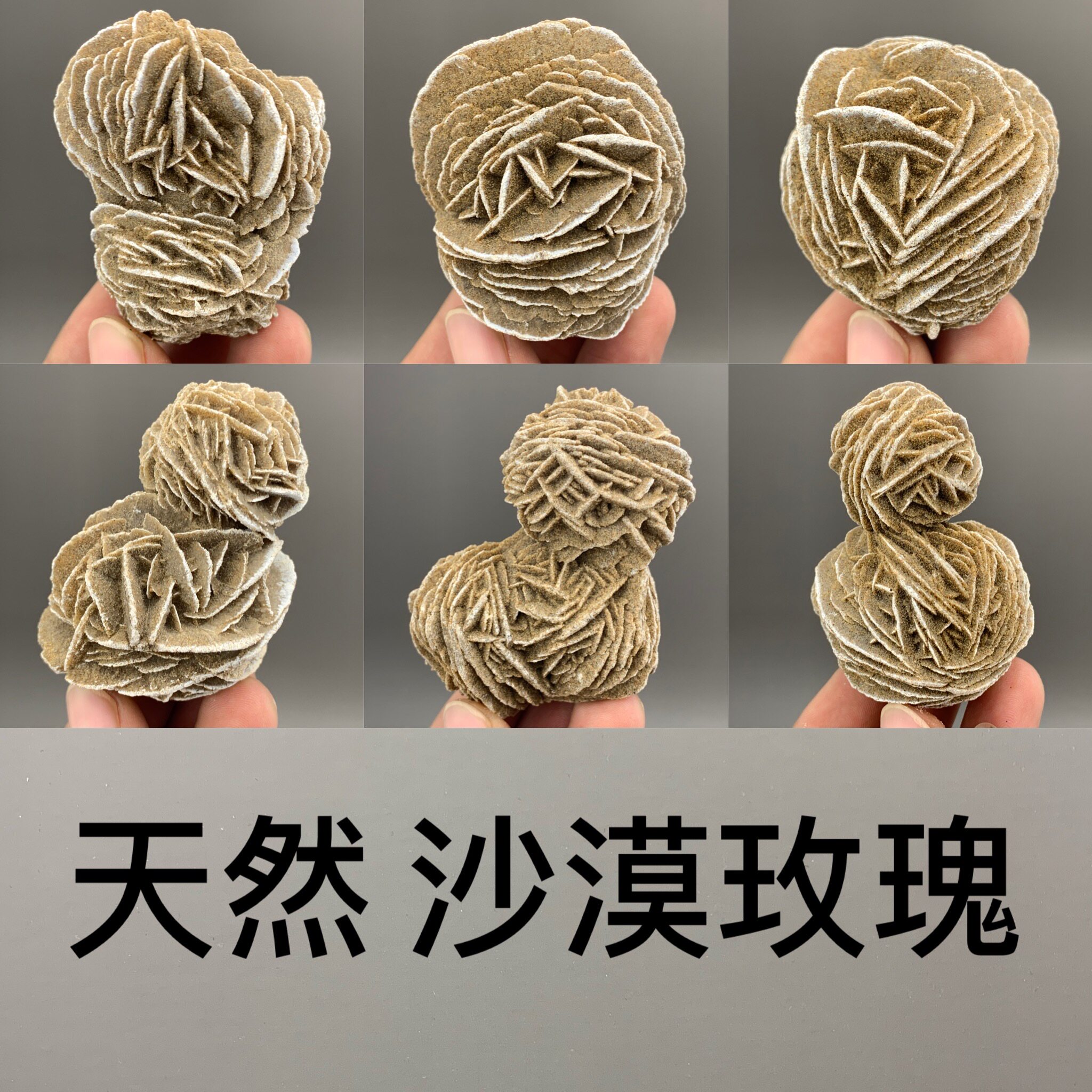 天然 沙漠玫瑰 矿物晶体奇石原石矿石收藏品摆件地质科普礼品教学