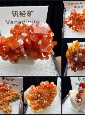 钒铅矿红色矿物盒子矿猫矿天然矿