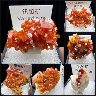 钒铅矿红色矿物盒子矿猫矿天然矿物晶体矿石标本收藏观赏原石奇石