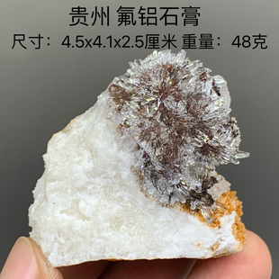 贵州 氟铝石膏 天然矿物晶体矿石标本收藏观赏原石摆件教学地质