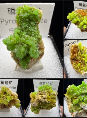 磷氯铅矿 绿色矿物天然矿物晶体矿石标本收藏观赏原石猫矿盒子矿