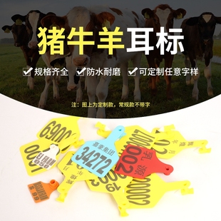 创普进口材质牛用耳标空白多规格猪耳标牛羊耳标牌标识带脖套脚套