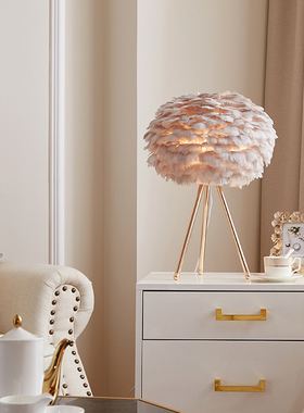 优选羽毛台灯卧室床头灯北欧轻奢insG少女温馨浪漫创意装饰客厅落