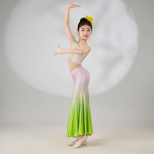 新品傣族a舞蹈演出服儿童女童少儿鱼尾裙孔雀舞演出服装民族表演